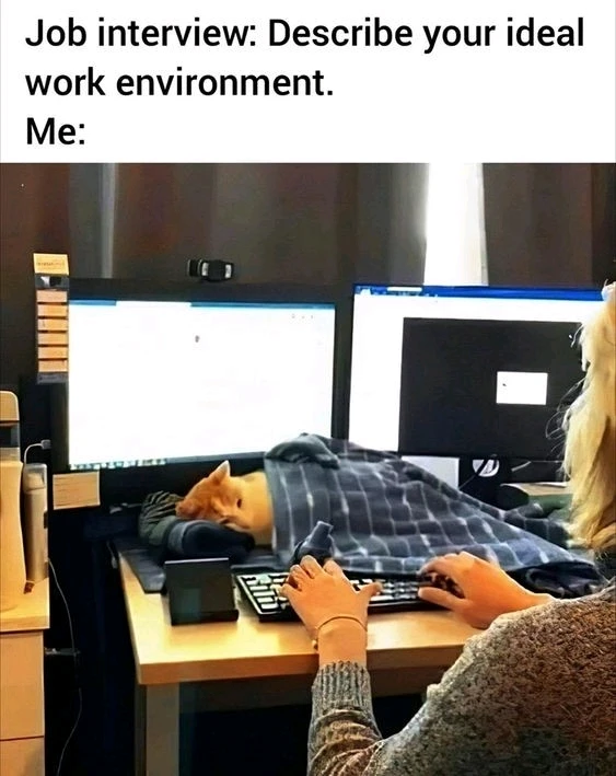 GIF uploaded by Waynez