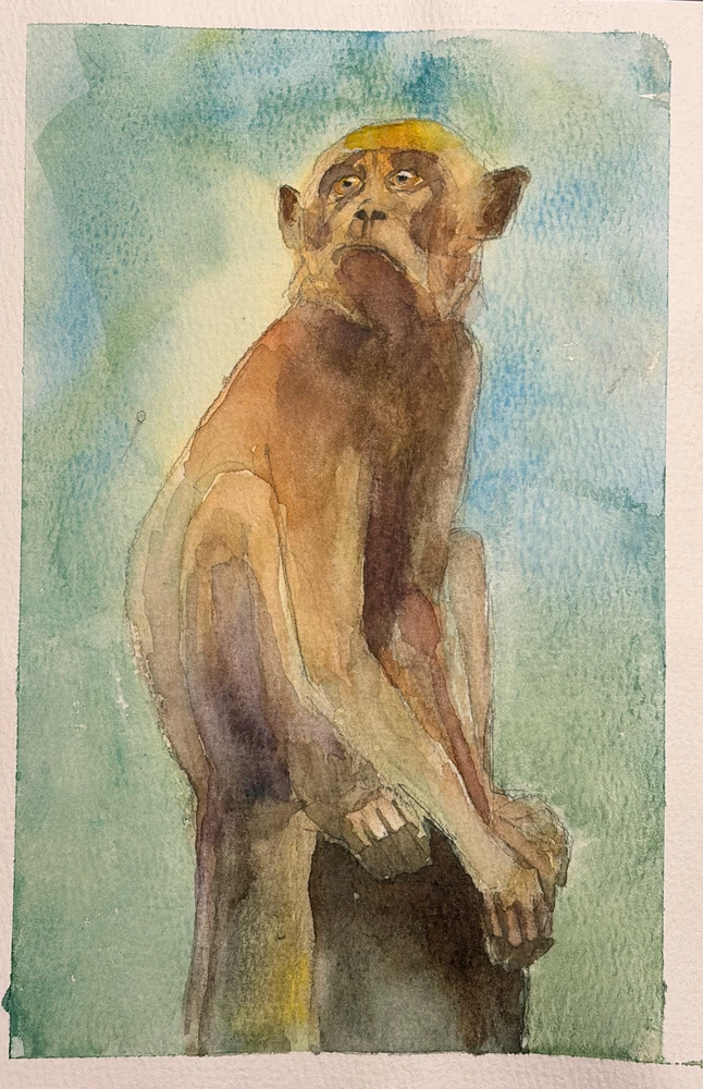 GIF uploaded by stefan