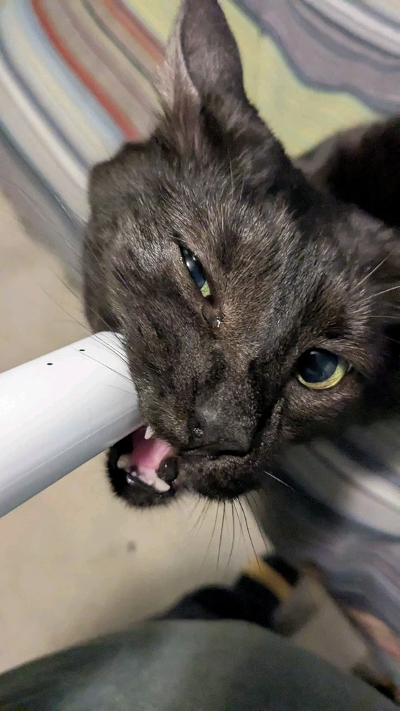 GIF uploaded by James