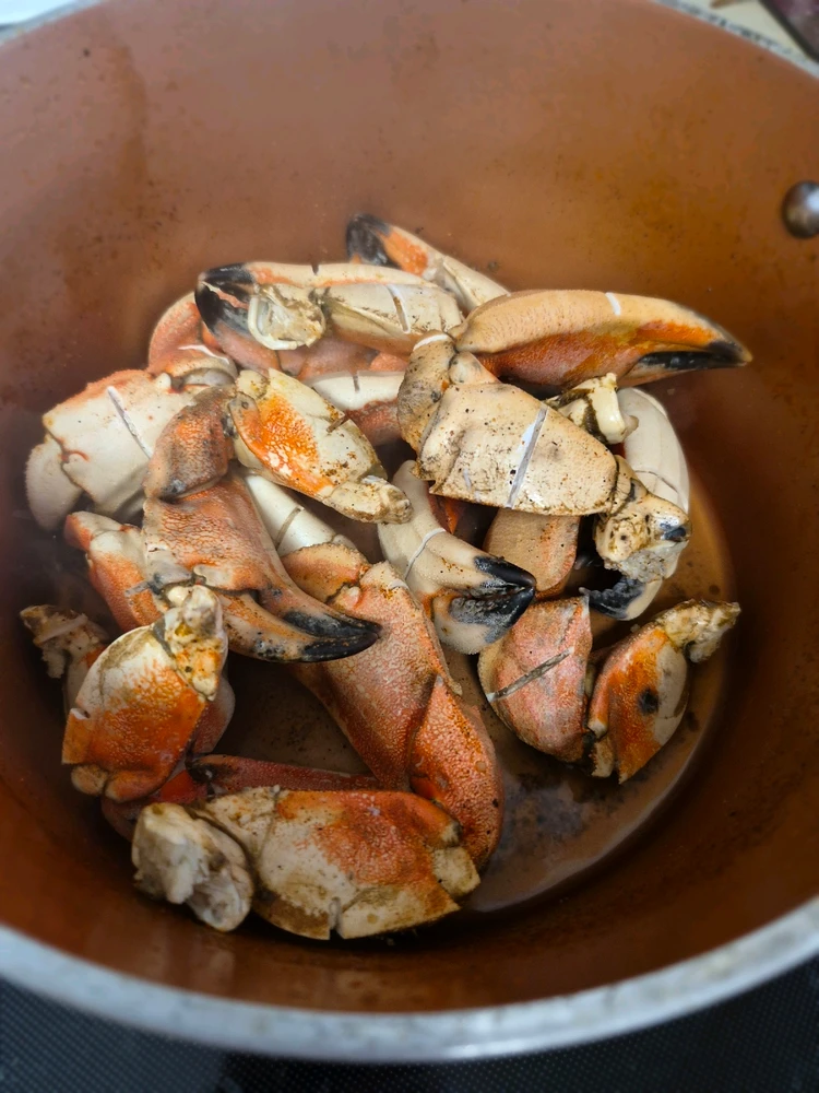 Image uploaded by Xell Leviticus