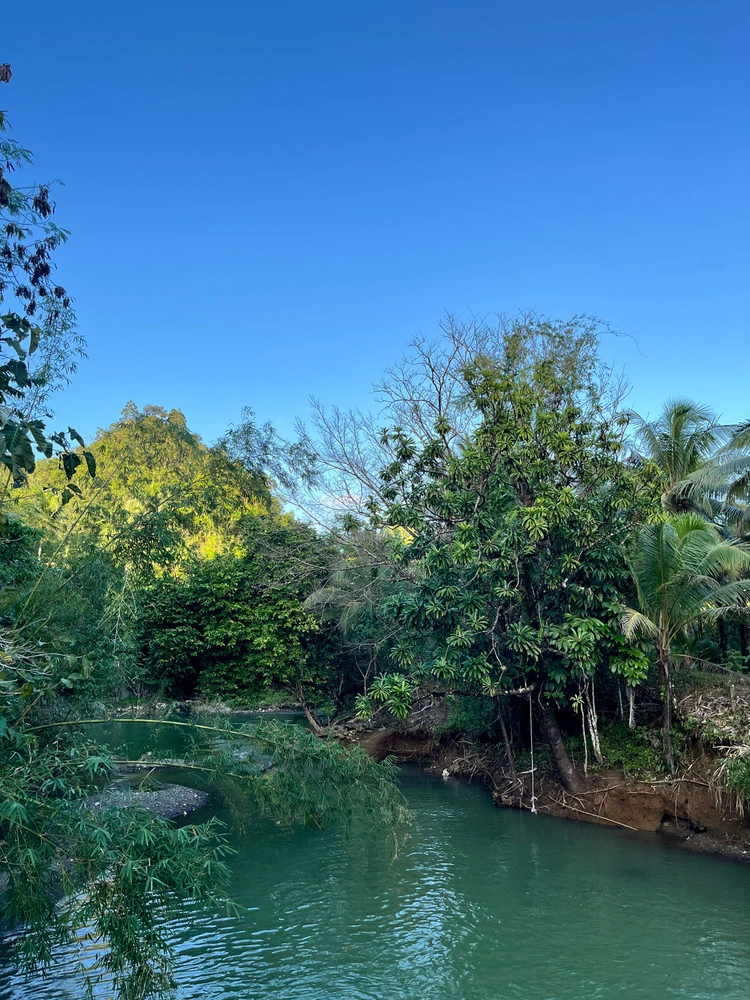 GIF uploaded by Madoo