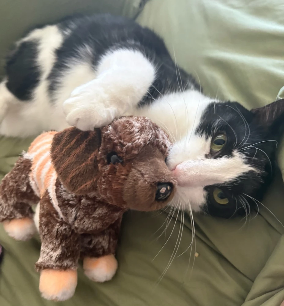 GIF uploaded by Stephanie