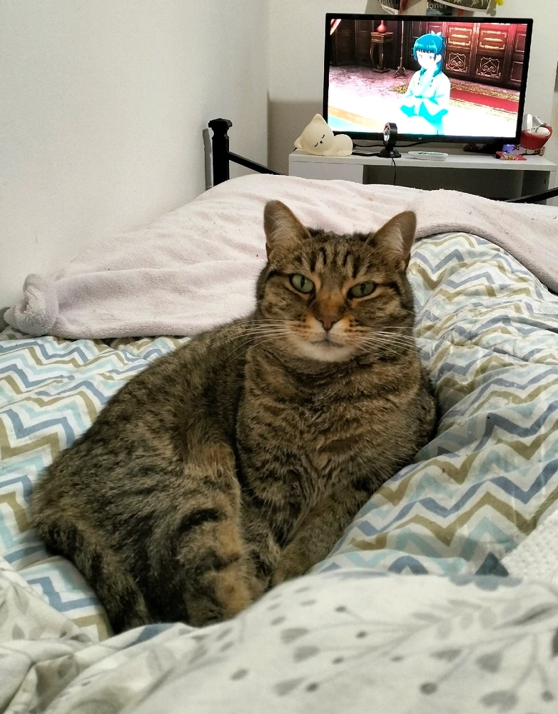 GIF caricata da Serena