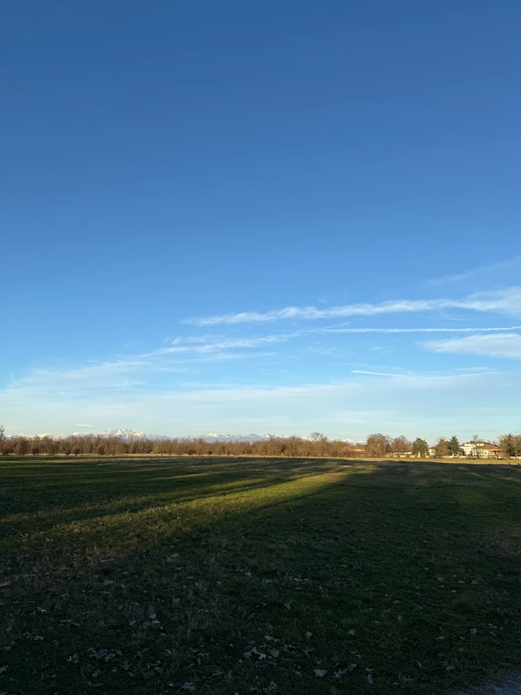 GIF caricata da Alessio