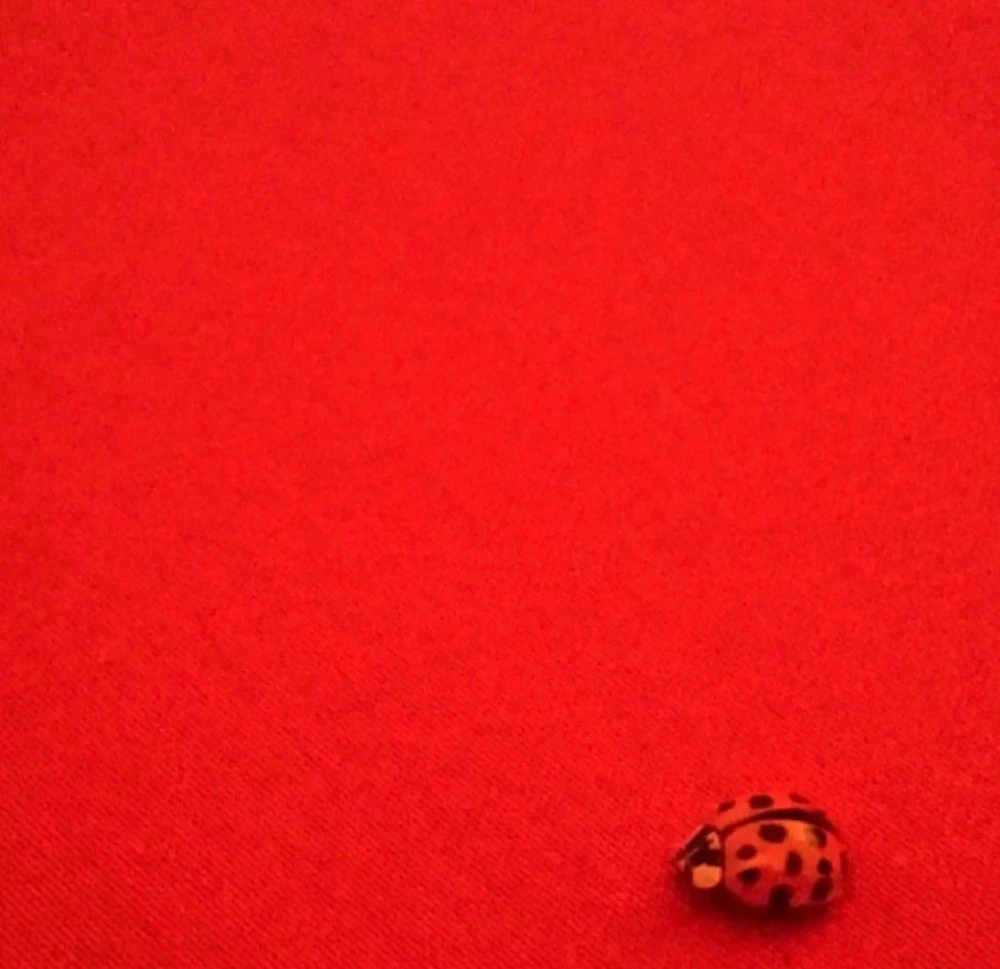 GIF uploaded by Stephanie