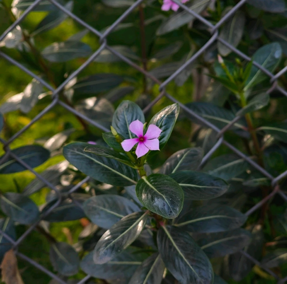 GIF uploaded by Aditya J