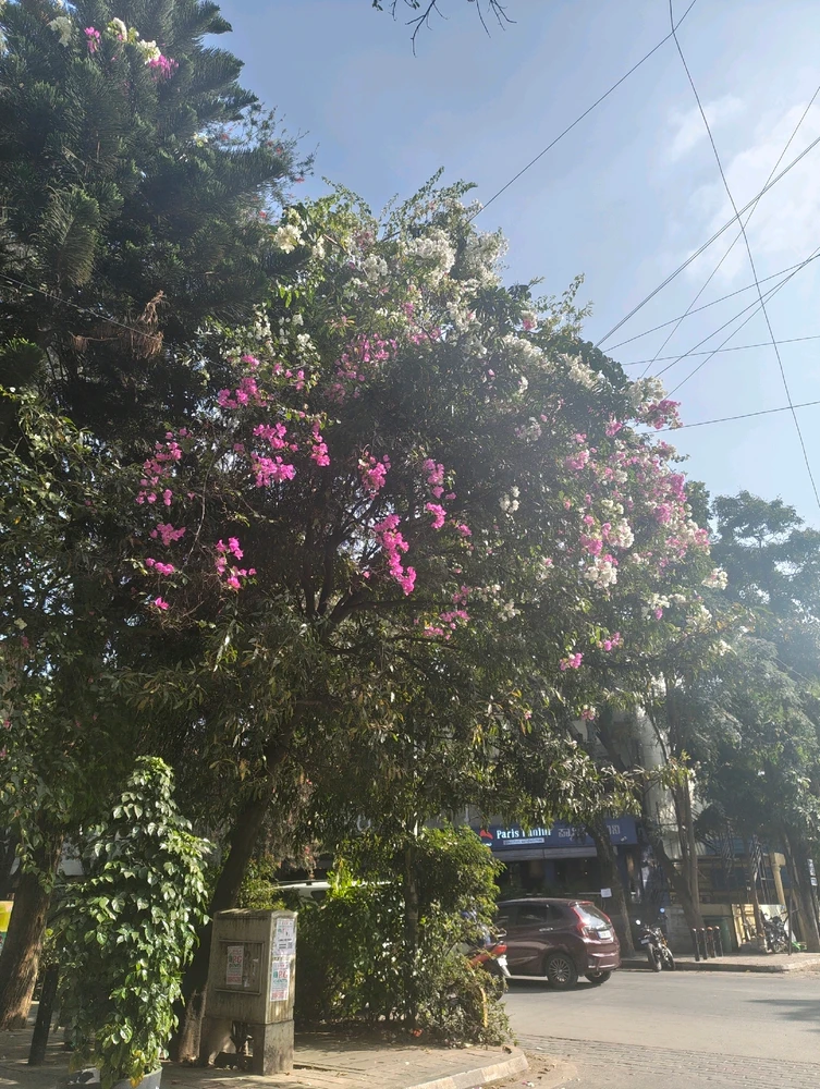 GIF uploaded by Zack