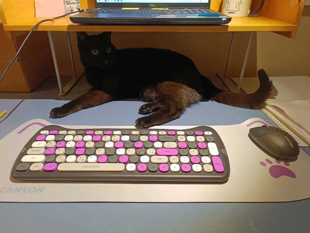 GIF nahrál ⭕⭕ Hlubina