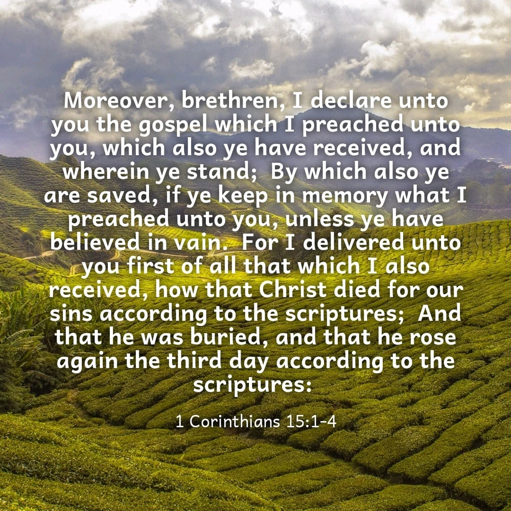 GIF uploaded by Larry