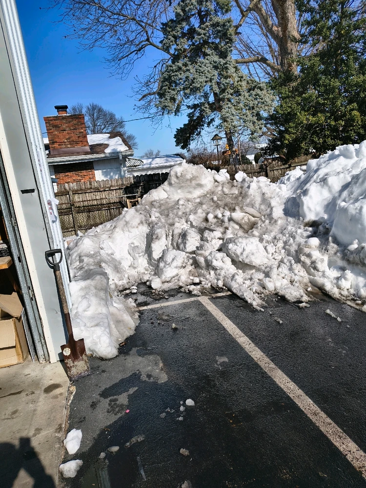 Image uploaded by Austin