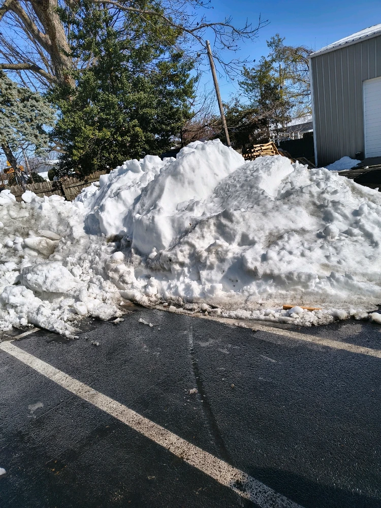 Image uploaded by Austin