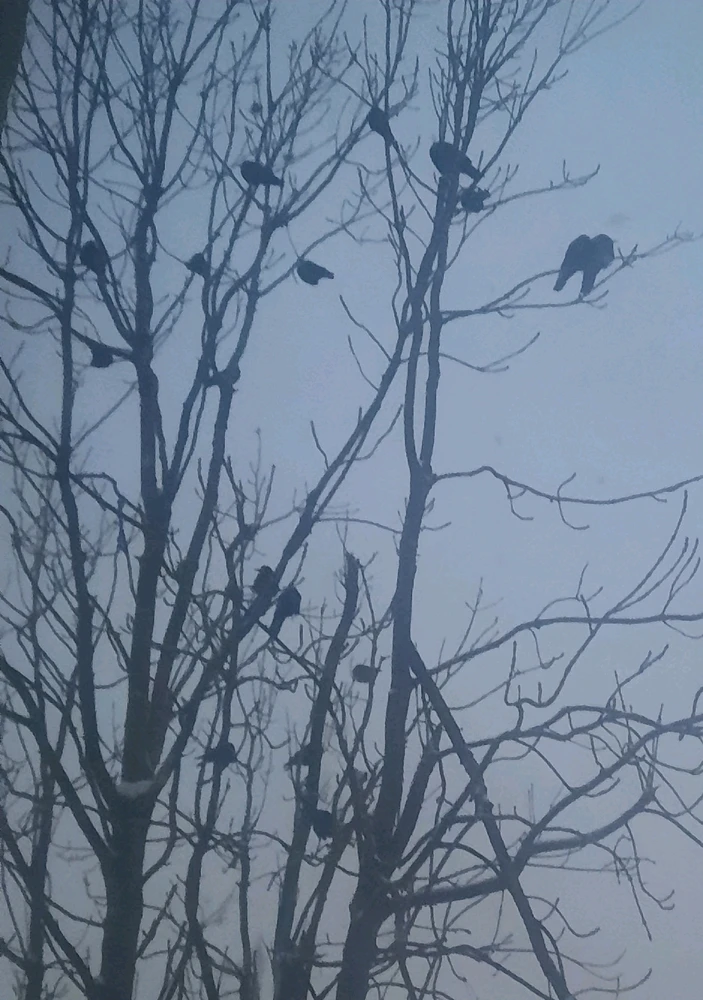 GIF загрузил Александр