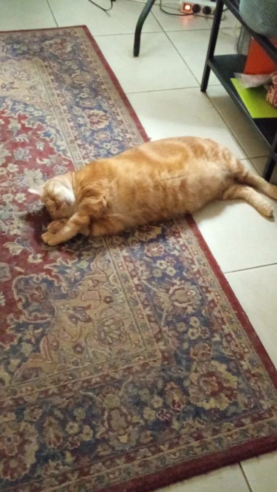 GIF uploaded by Niken