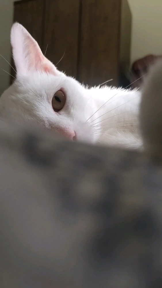 GIF uploaded by Erik