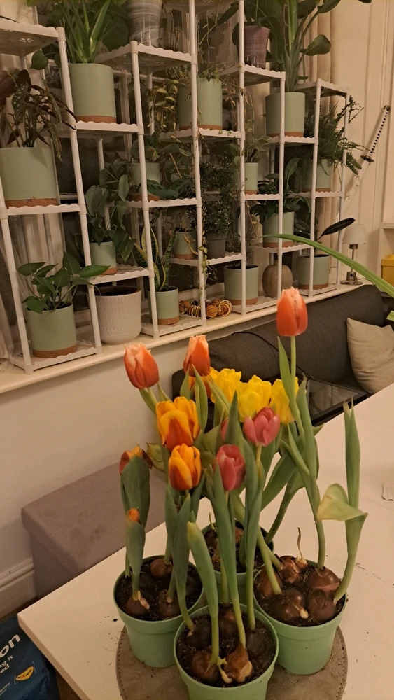 GIF uploaded by Ezzaiah aka Ezzy