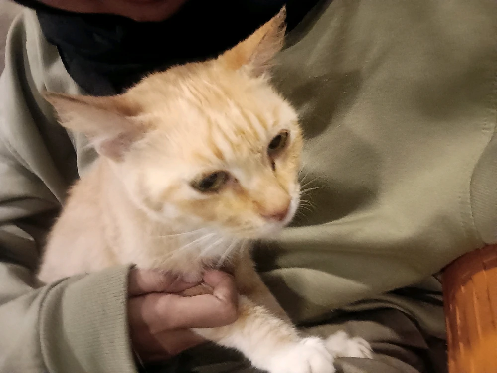 GIF diunggah oleh Yaya