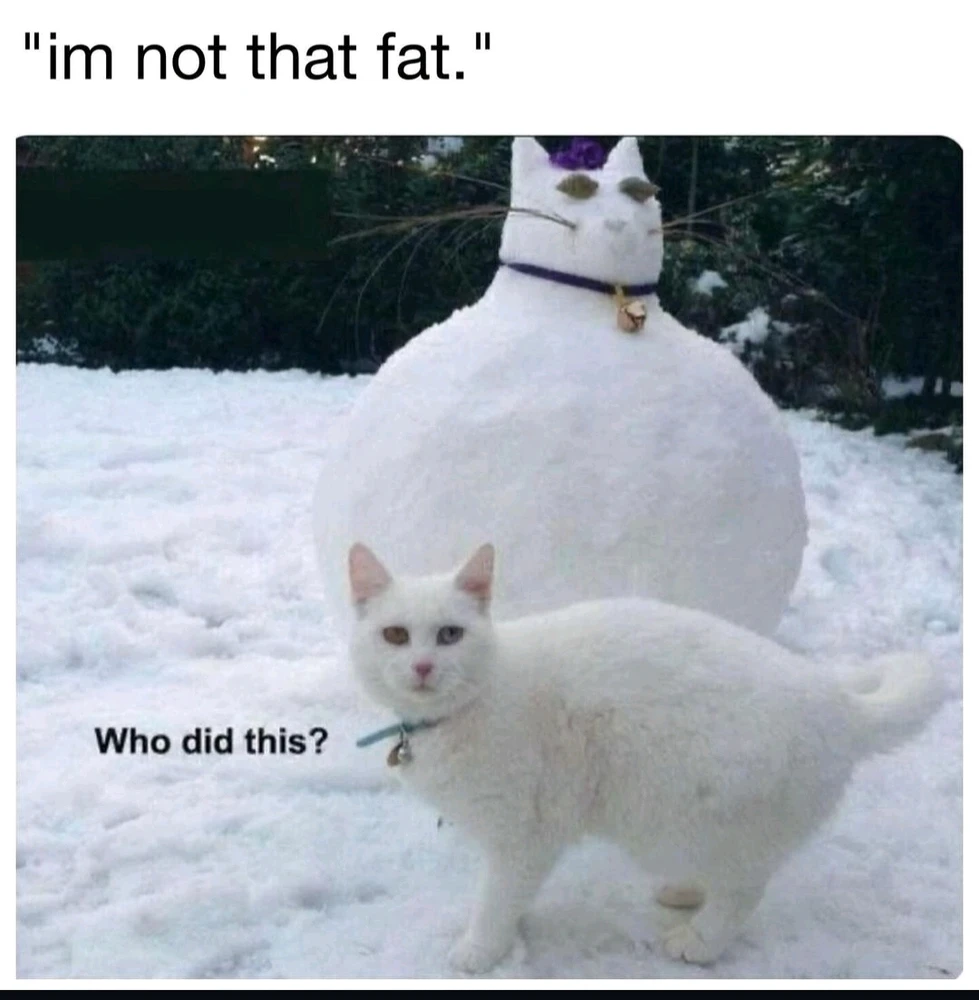 GIF uploaded by Maili