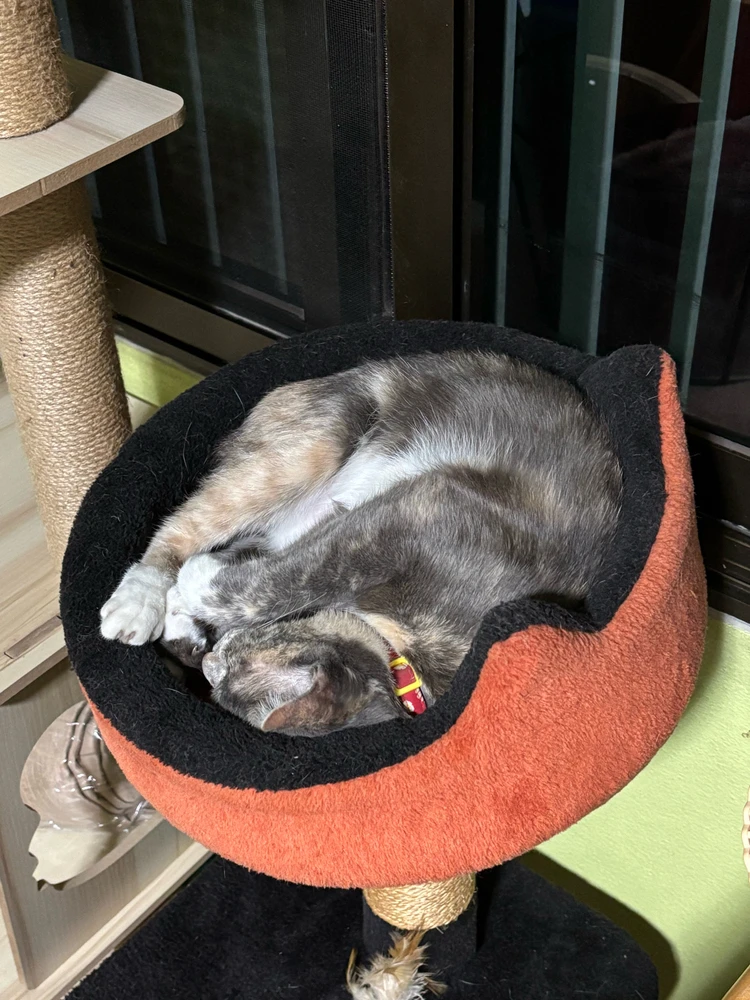 Image uploaded by Pat♡