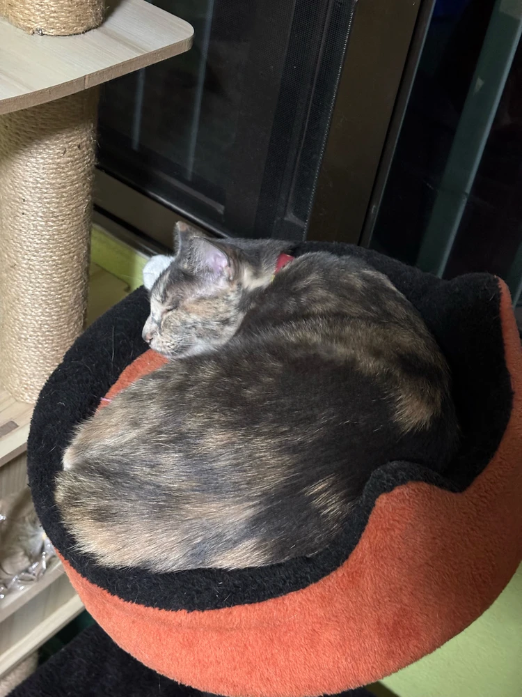 Image uploaded by Pat♡