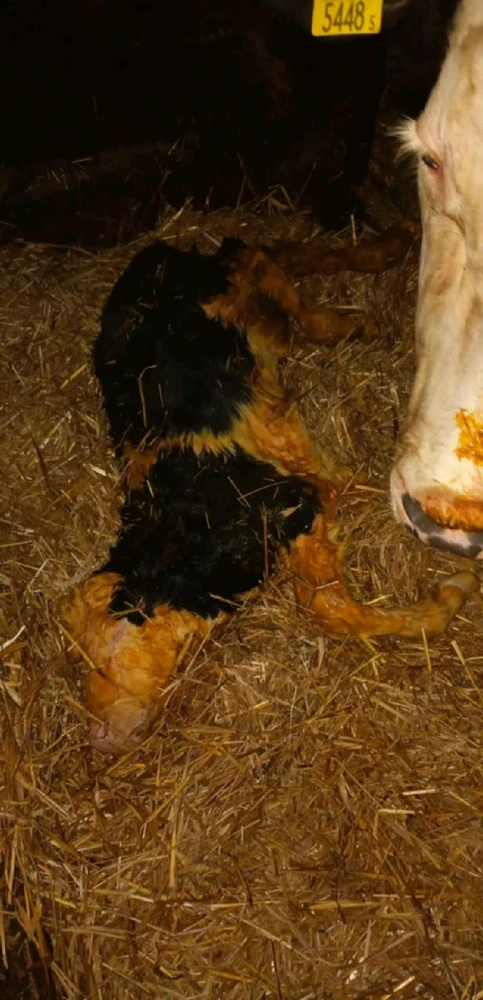 GIF dodany przez Krzysztof