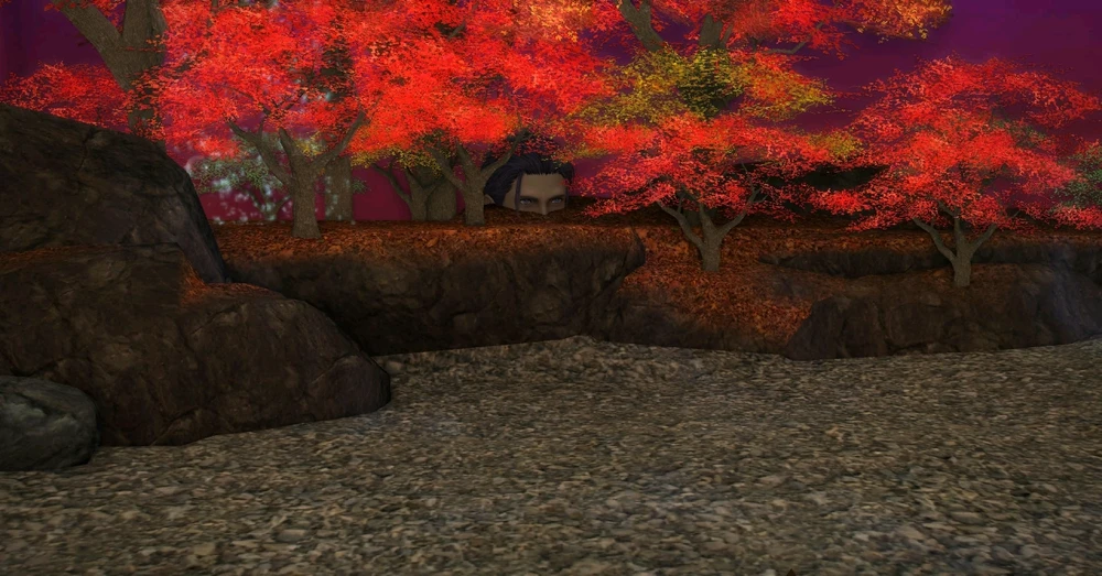 Image uploaded by James