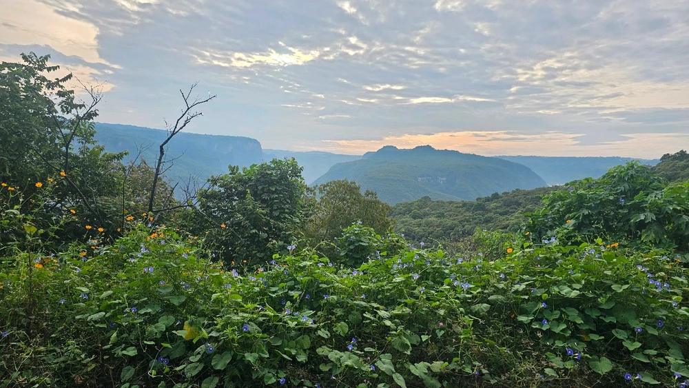 Imagen subida por JR