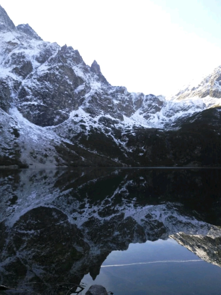 Image uploaded by Liza