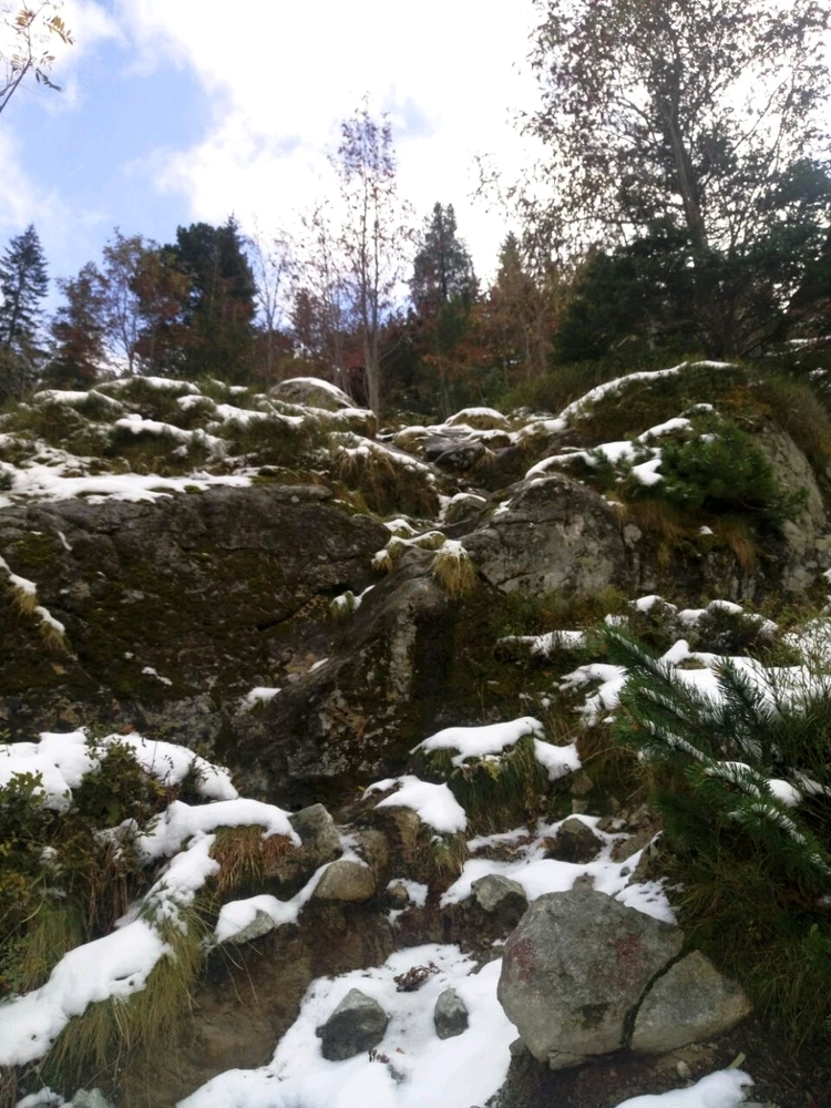 Image uploaded by Liza