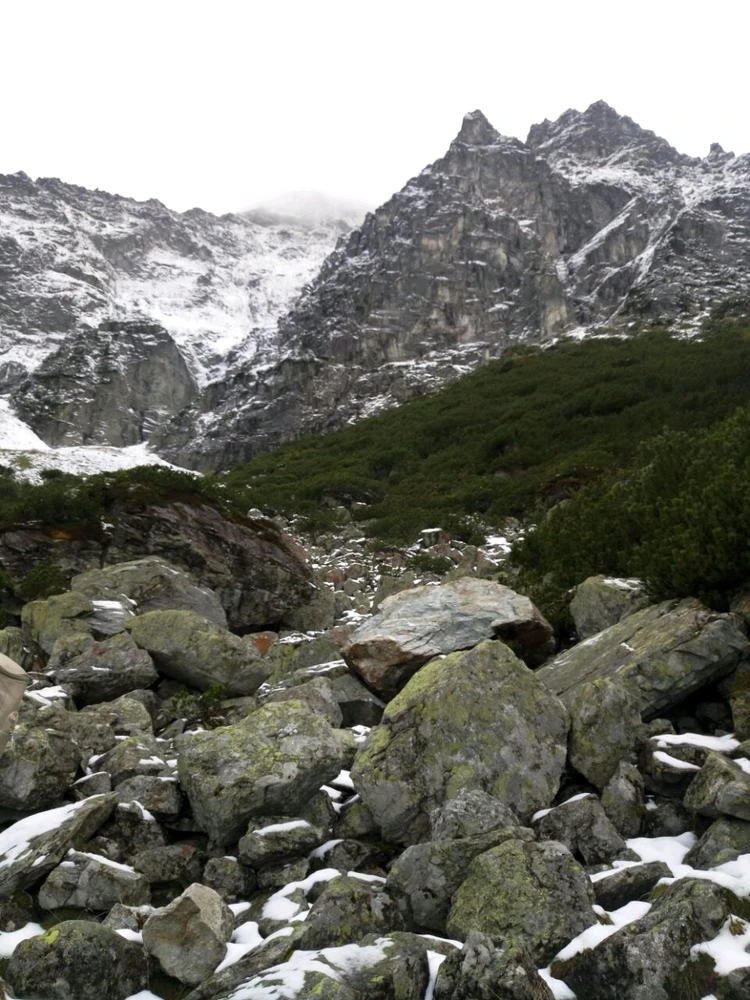 Image uploaded by Liza