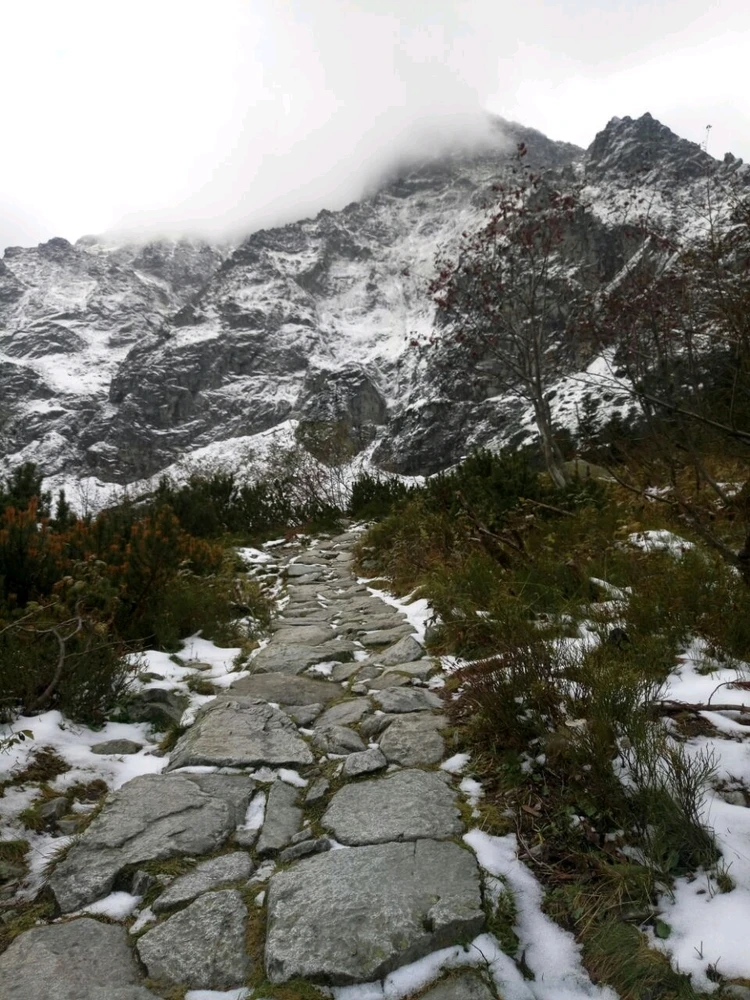 Image uploaded by Liza