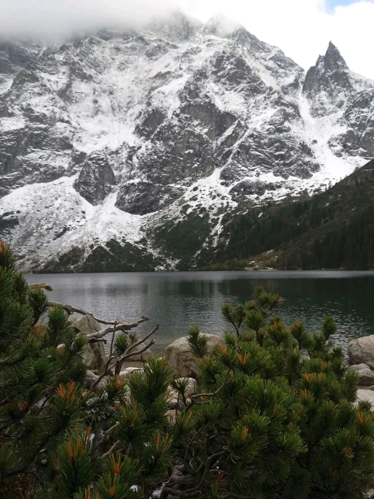 Image uploaded by Liza