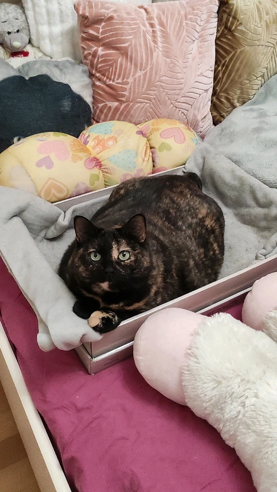 GIF uploaded by Nathalie