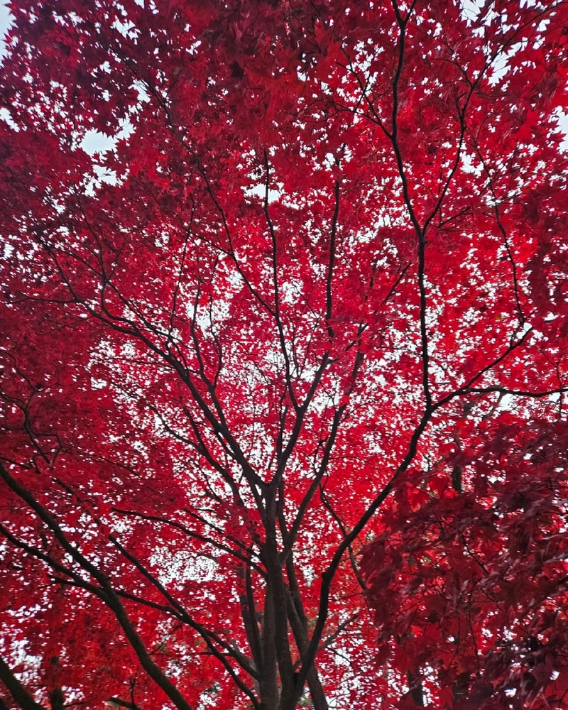 Image uploaded by Jacob