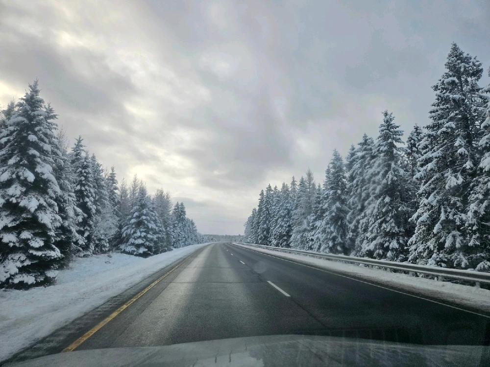 Image uploaded by Jacob