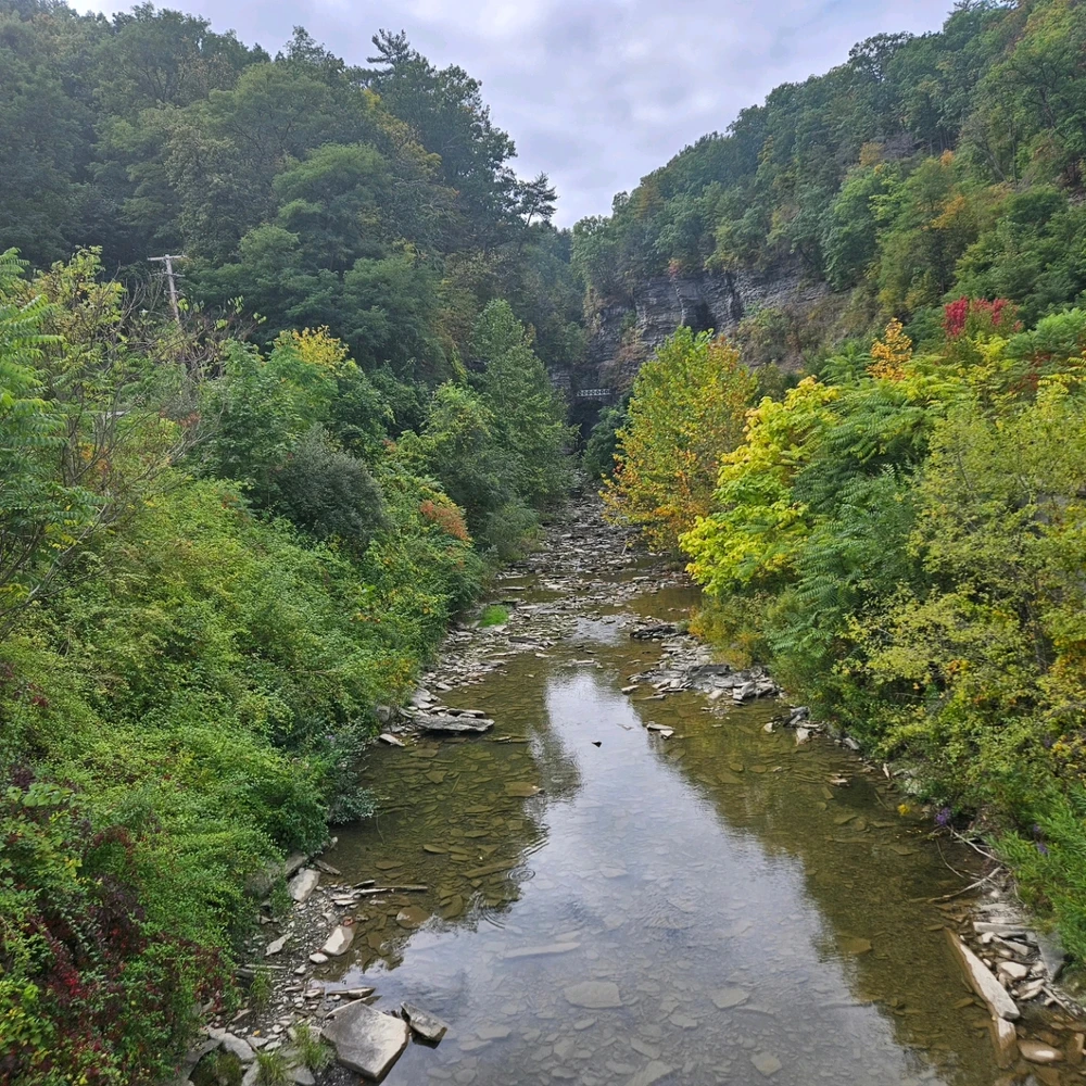 Image uploaded by Jacob