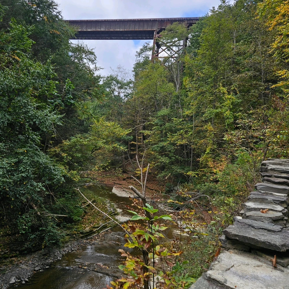 Image uploaded by Jacob