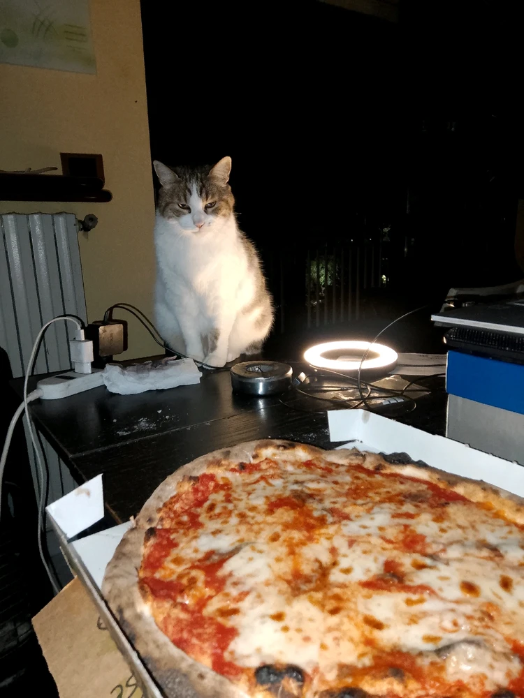 Image uploaded by Mr Nice