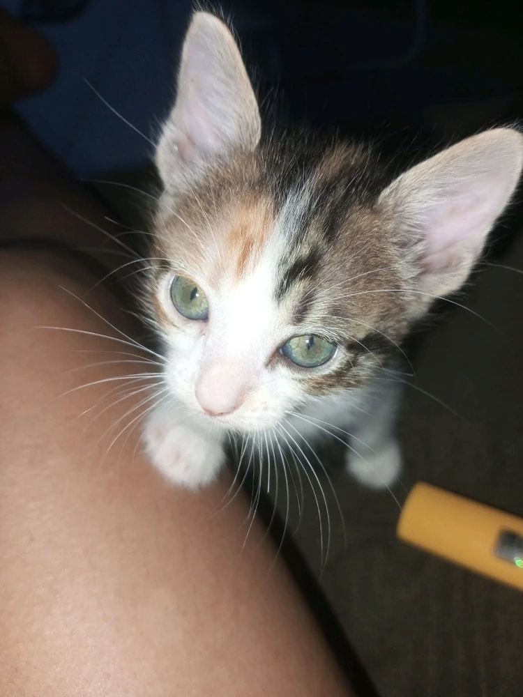 GIF enviado por Geovana