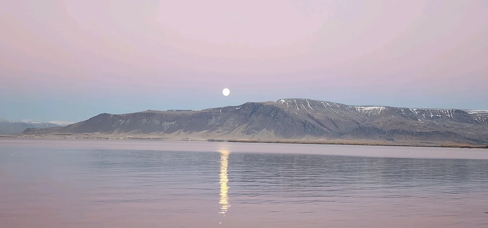 Image uploaded by Jeff