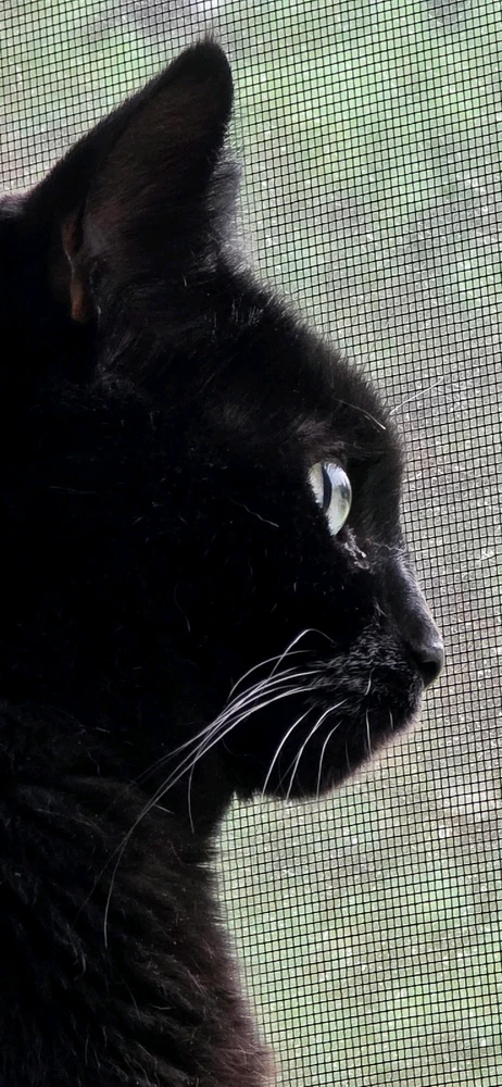 GIF uploaded by >ꋖꁏꋊꂖ(°~°)