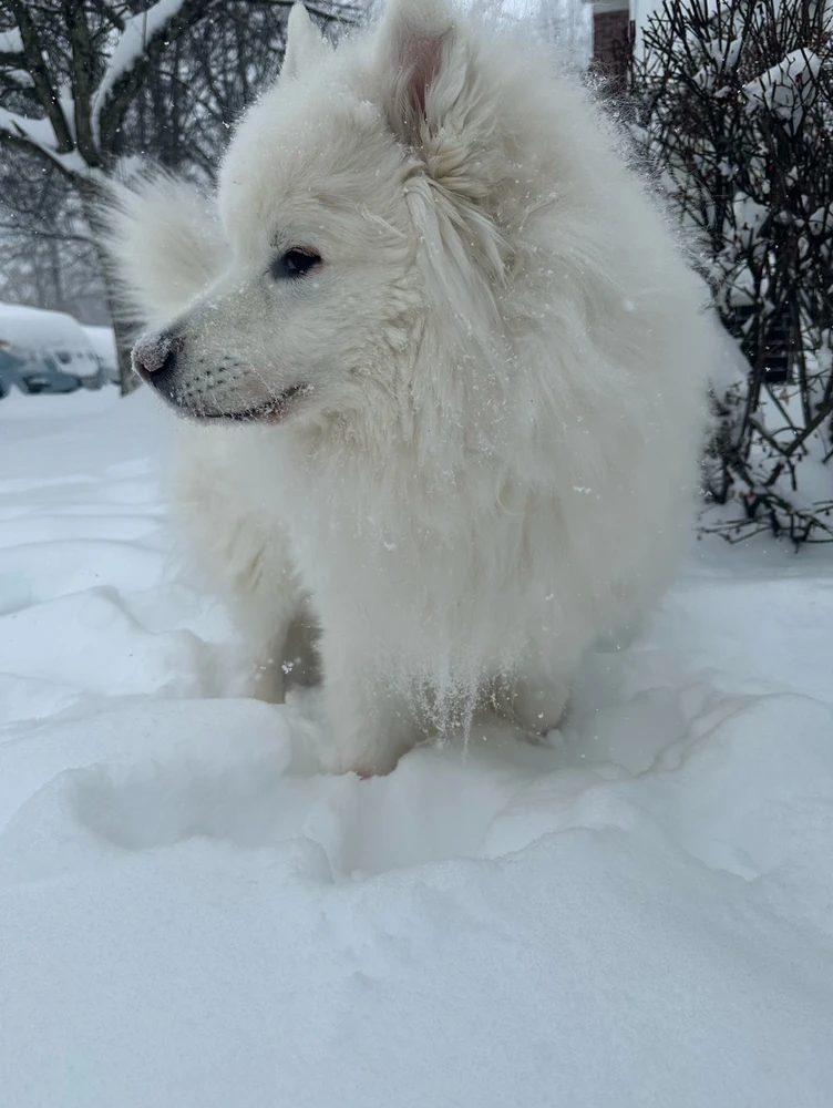 GIF uploaded by Josh