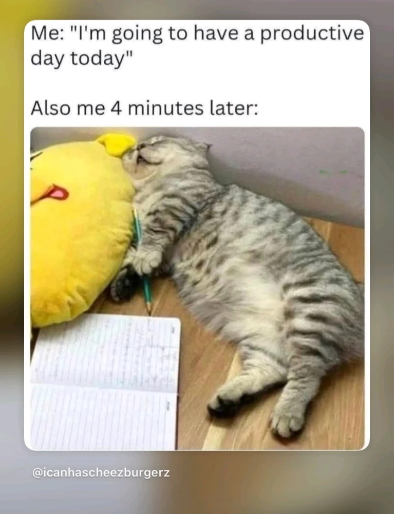 GIF uploaded by Maili