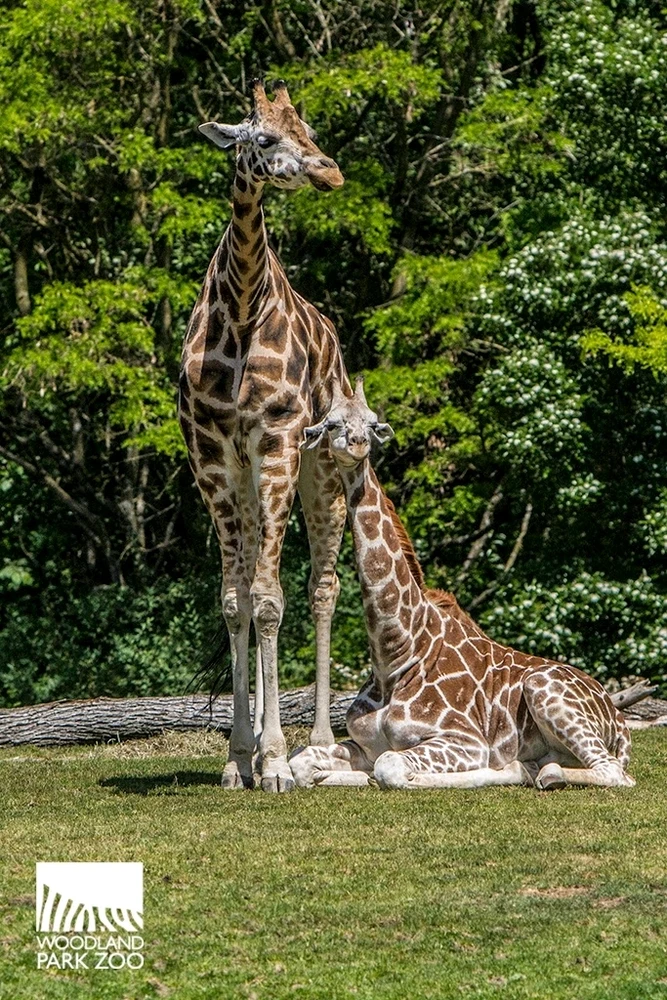 Image uploaded by Douglas