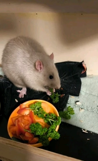 Bild hochgeladen von Luzi