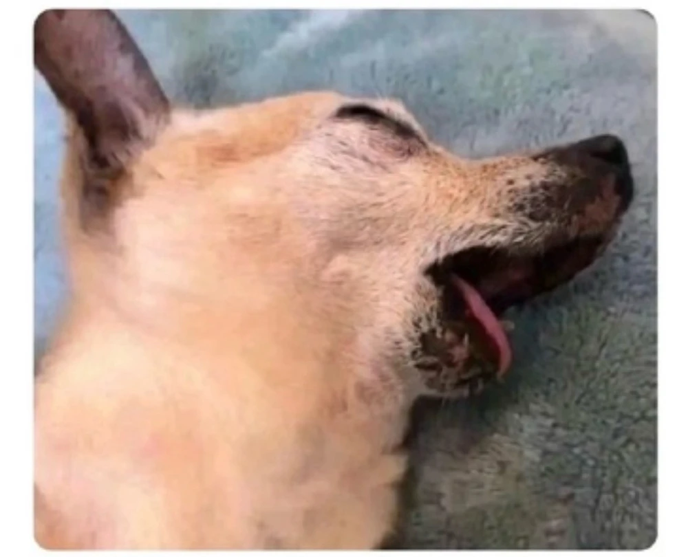 GIF uploaded by Arif