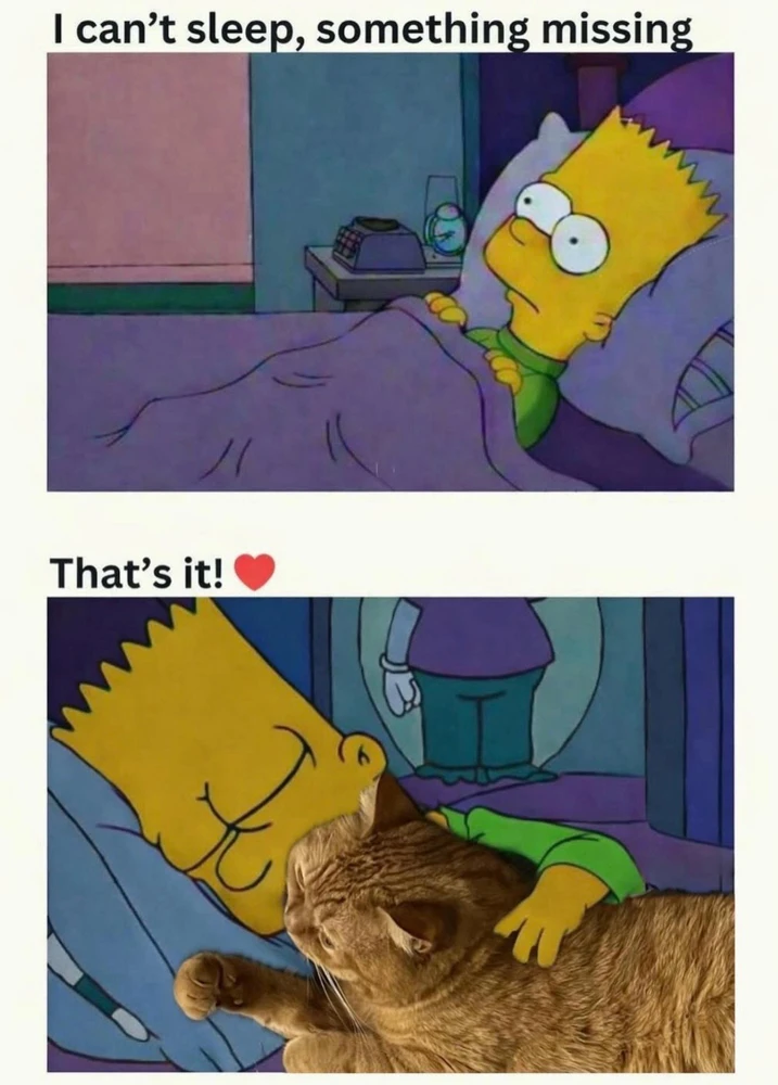 GIF uploaded by bellissima