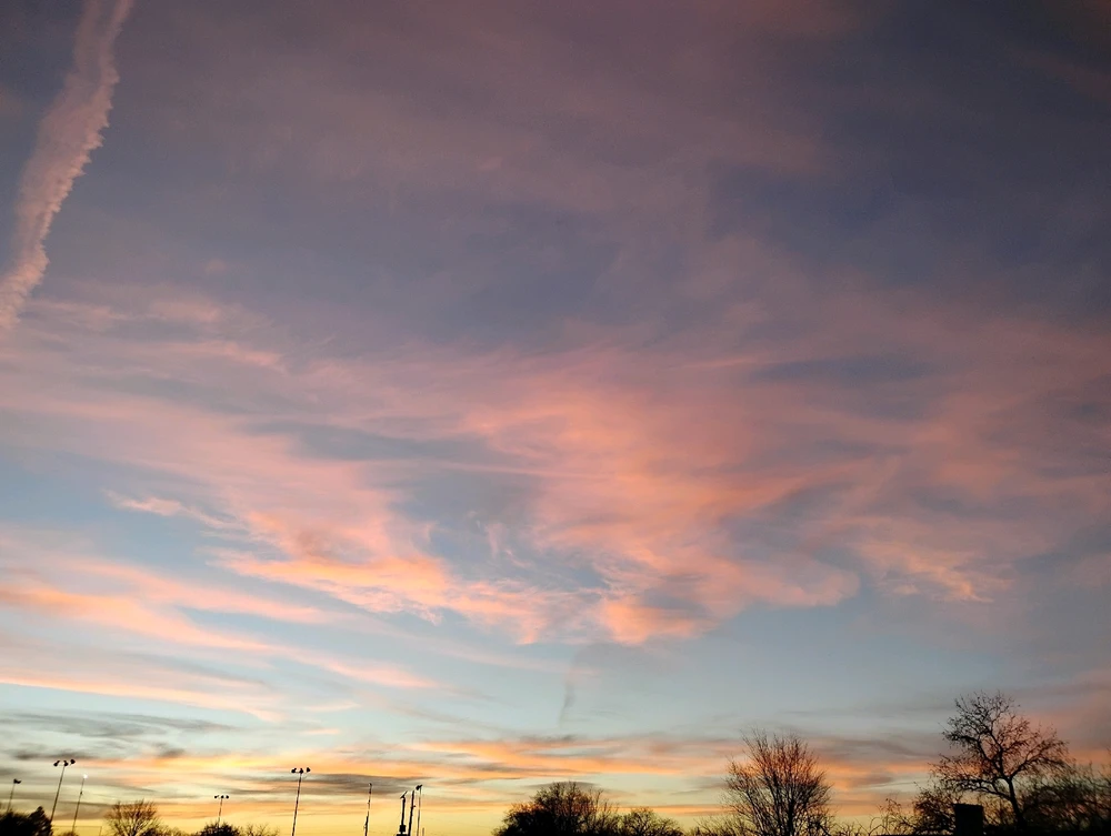 Image uploaded by Bex