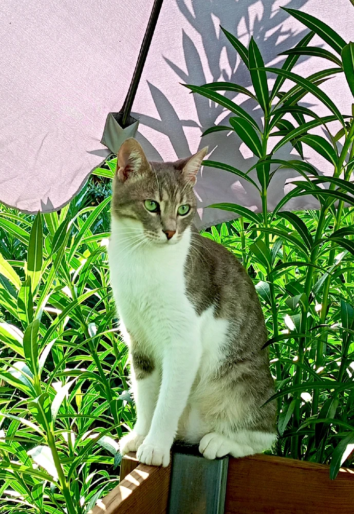 GIF uploaded by MaryTos