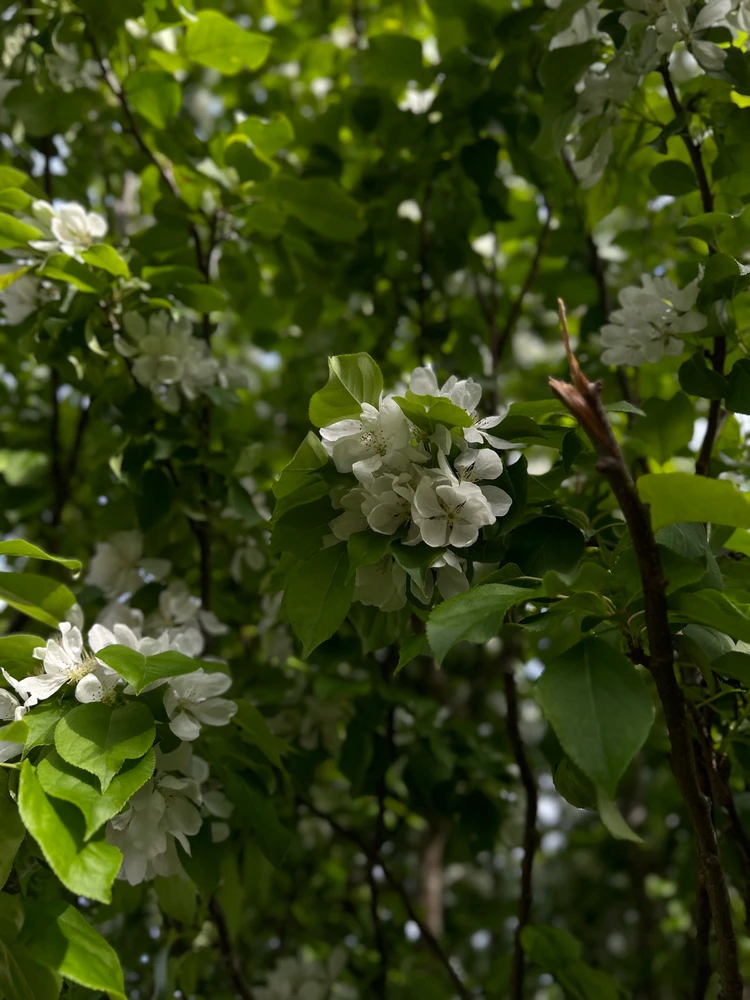 Image uploaded by Dan