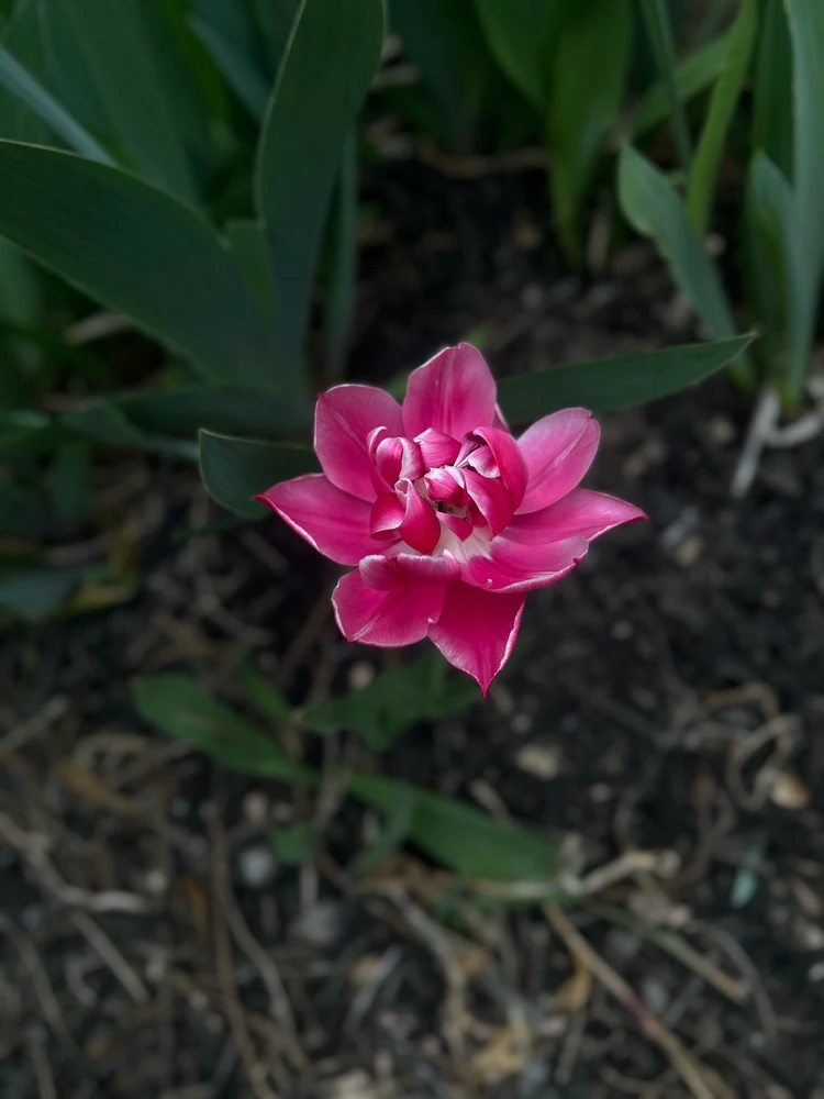 Image uploaded by Dan